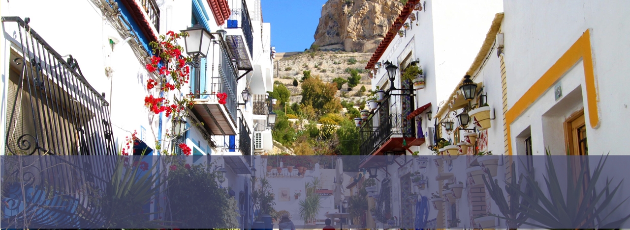 Español en Alicante con la Universidad de Salamanca