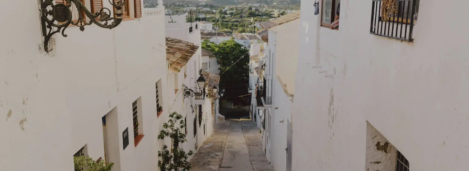 ALTEA ALICANTE ELE USAL ALICANTE